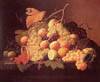Still Life with Fruit 2